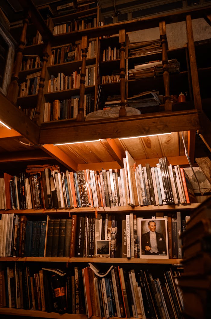 contact-img A wooden bookshelf in a cozy library setting with warm ambient lighting and various books.
